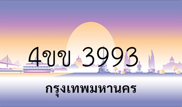 4ขข 3993